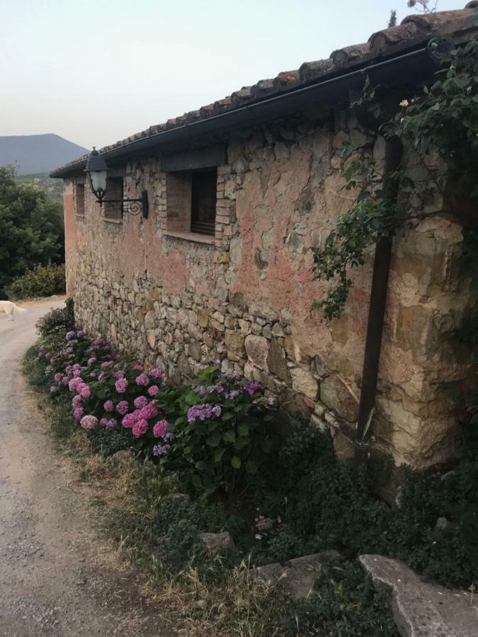 La Banditaccia Monticello Amiata Exterior foto